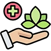 Holistic Approach